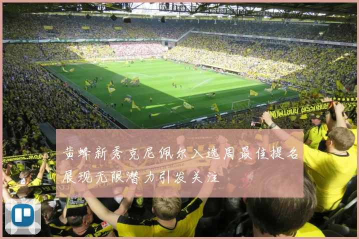 黄蜂新秀克尼佩尔入选周最佳提名展现无限潜力引发关注