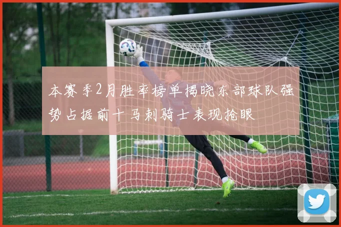 本赛季2月胜率榜单揭晓东部球队强势占据前十马刺骑士表现抢眼